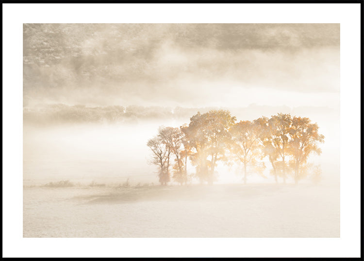 Pôster dos sonhos de outono