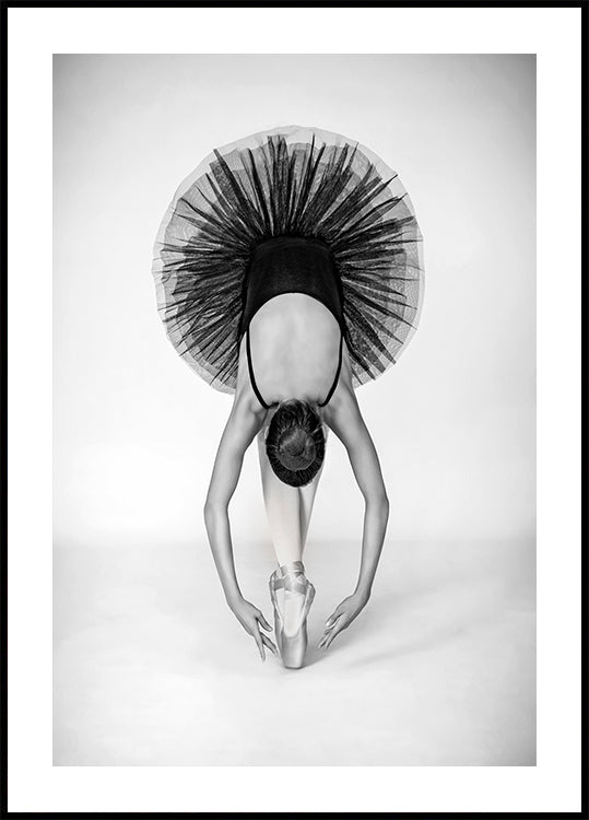 Pôster Técnica de Ballet