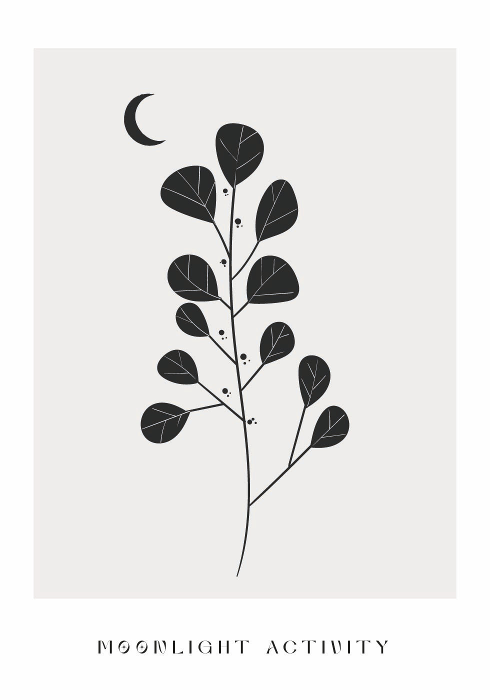 Moonlight Activity No. 3 Plakat - Posterbox.dk