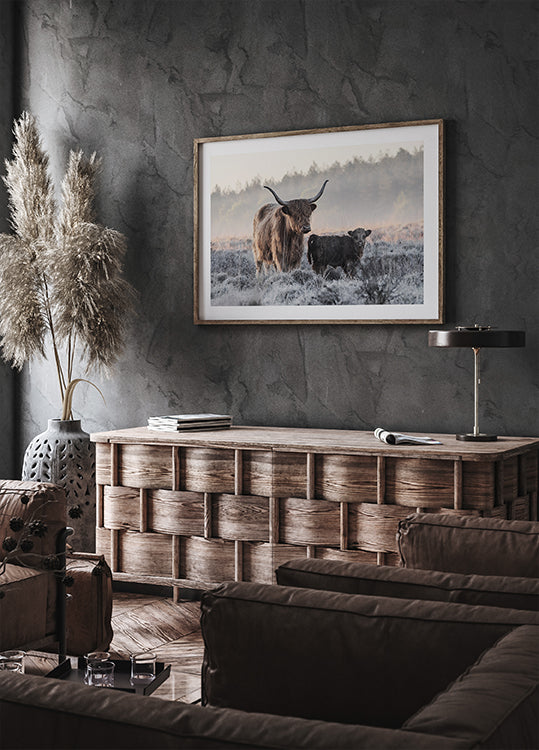 Pôster Highlander e bezerro