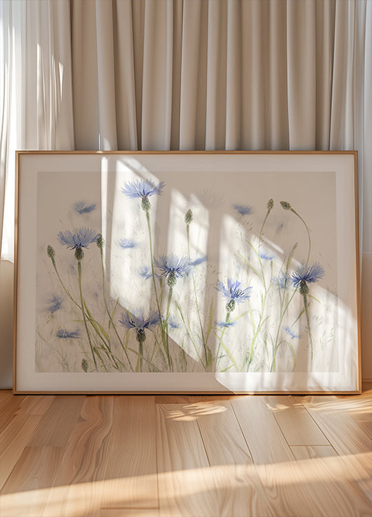 Póster Cornflowers