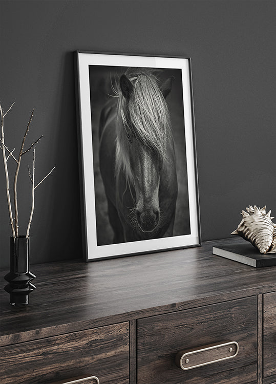 Póster Alpine Surf Dude