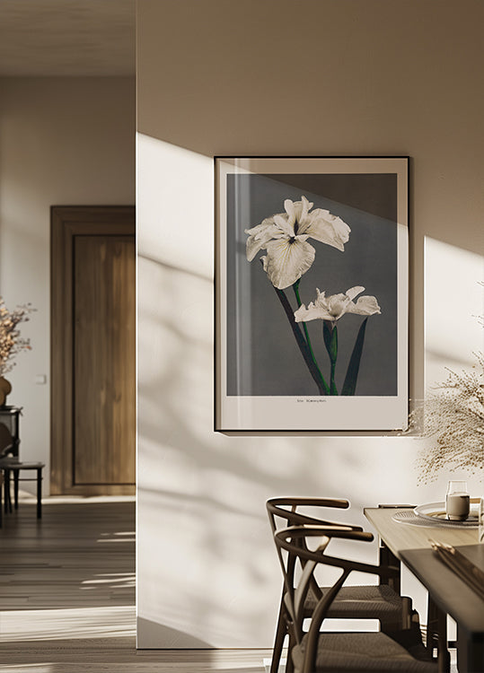 Pôster Iris Kæmpferi