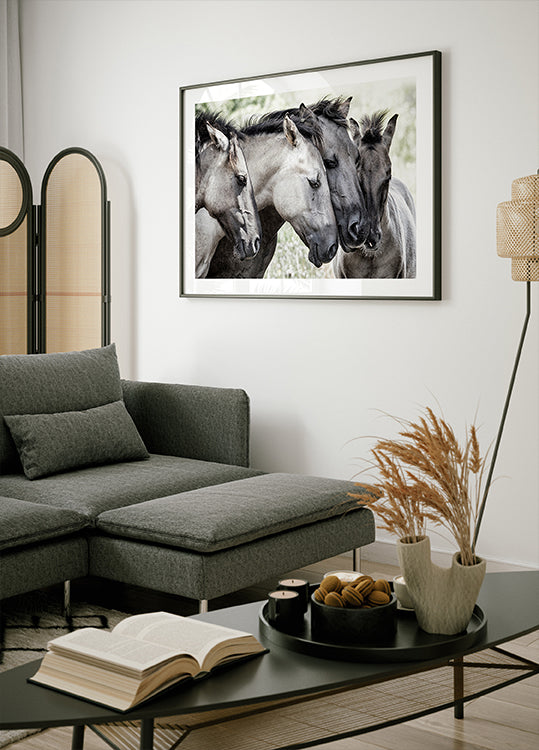 Quatro cavalos Konik