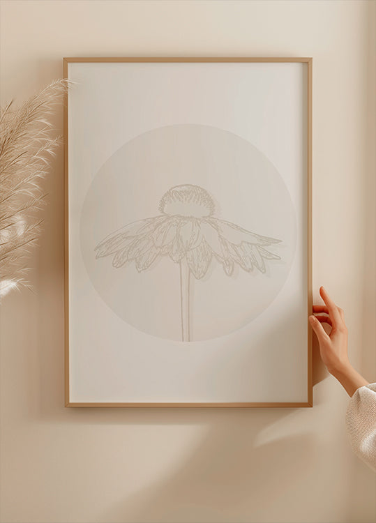 Poster Flor de Gaillardia, linha botânica de arte