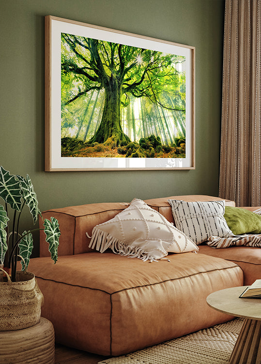 Pôster Faia de Ponthus