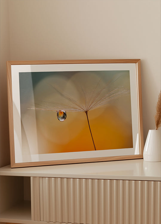 Pequena Música Noturna...