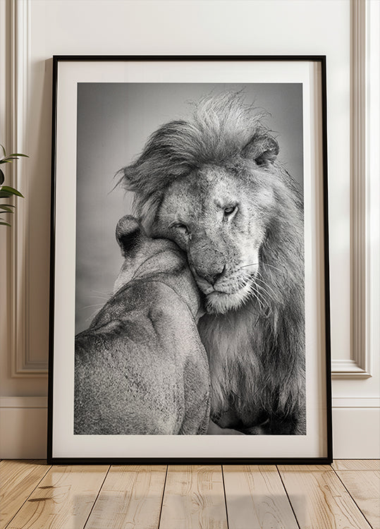 Amor Africano! Poster