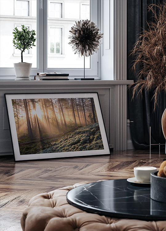 Póster Nevoeiro na floresta com musgo branco em primeiro plano