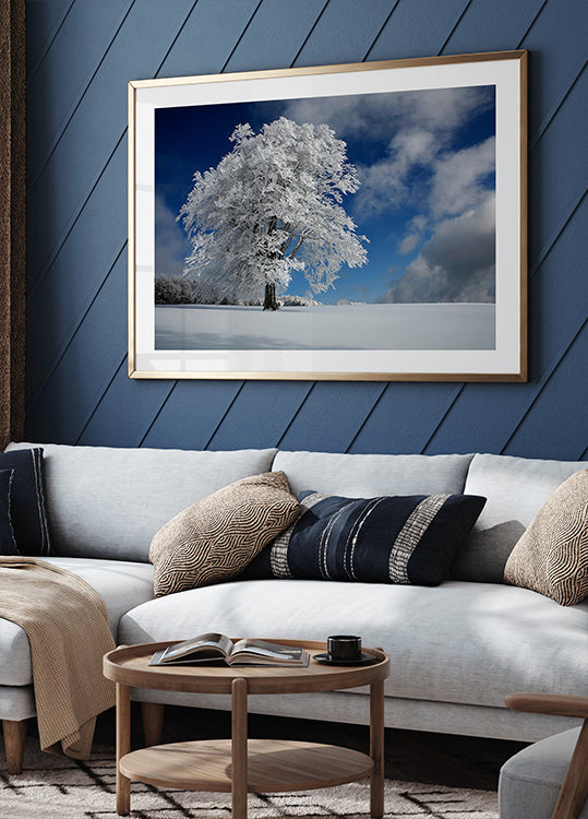 Windbuche Branco na Floresta Negra