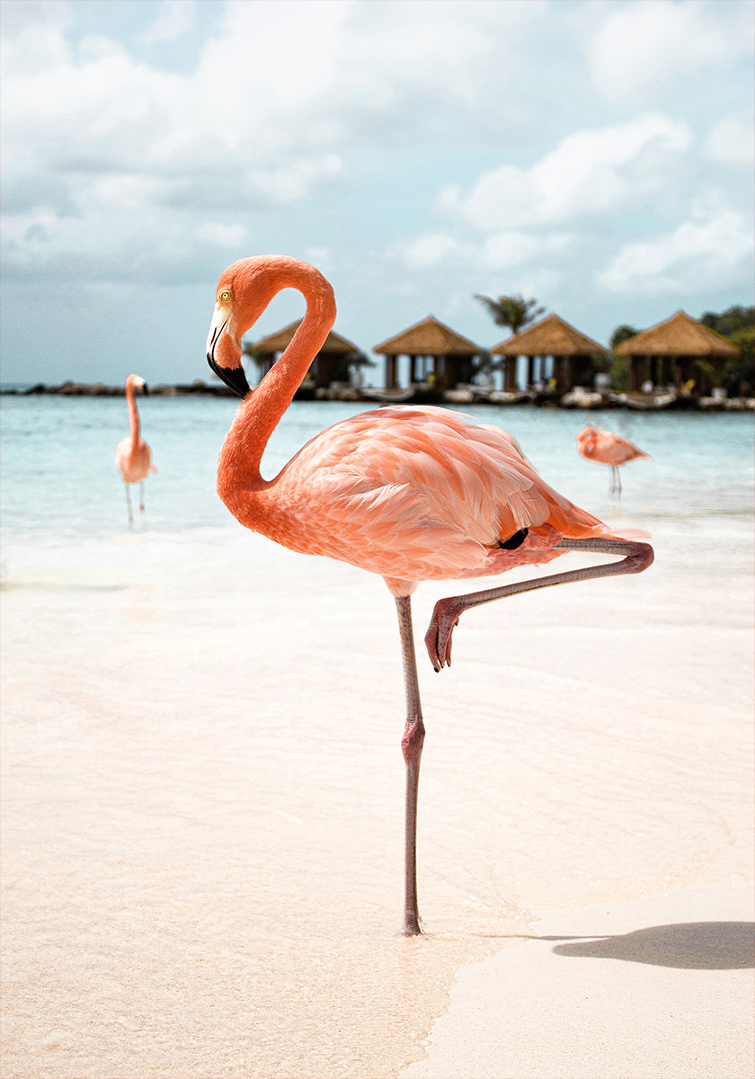 Pink Flamingo (NEW) - Posterbox