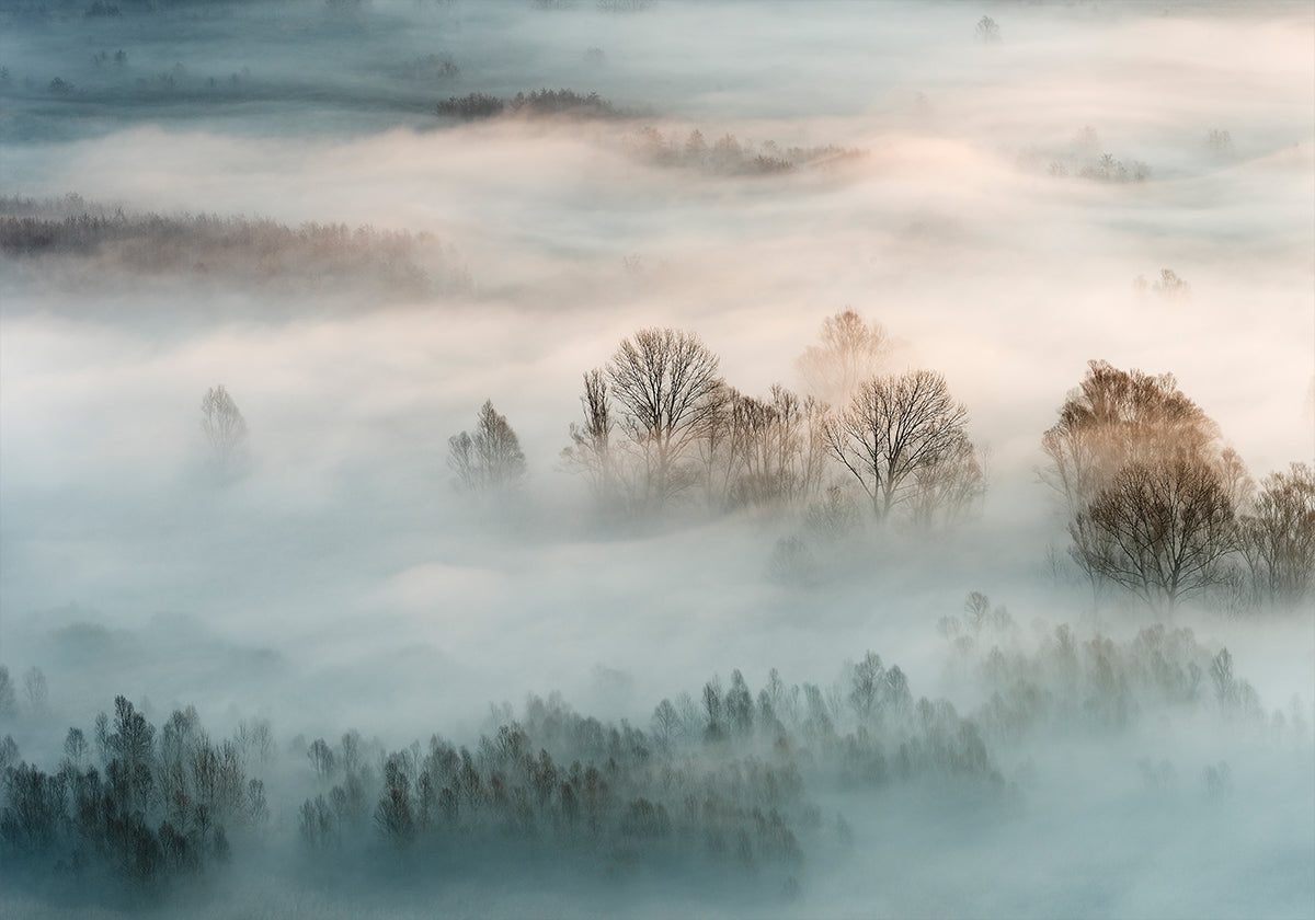 Póster Winter fog