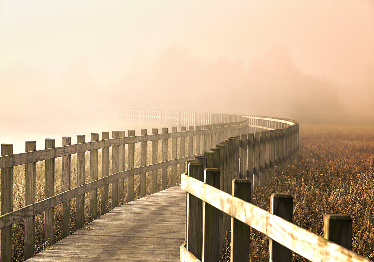 O Caminho fica mais brilhante.
