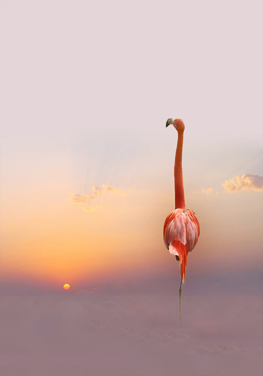 pôr do sol...