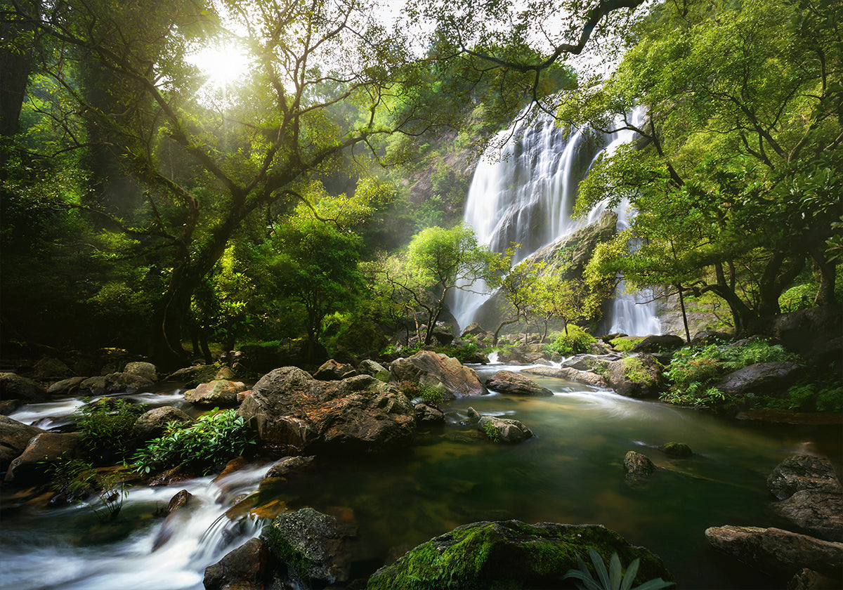 Póster Mountain stream