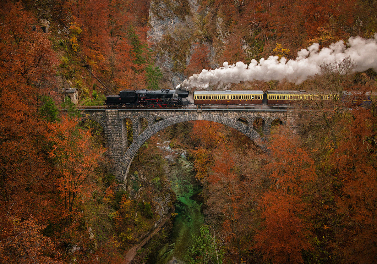 Póster Museum train
