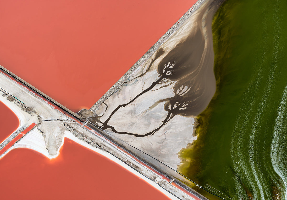 A pintura da natureza