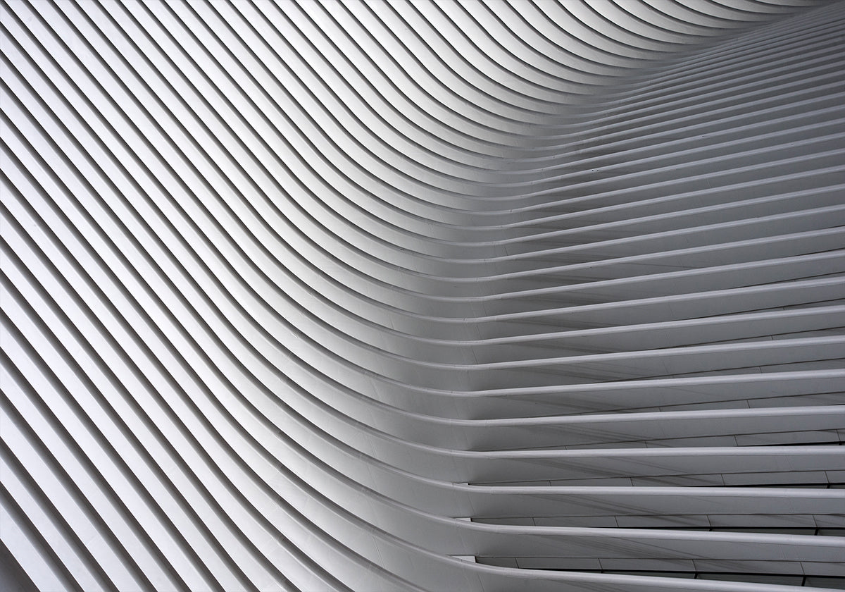 Pôster Curvas de Calatrava #2