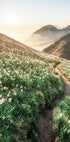 Mountain Sunset Plakat - Posterbox.no