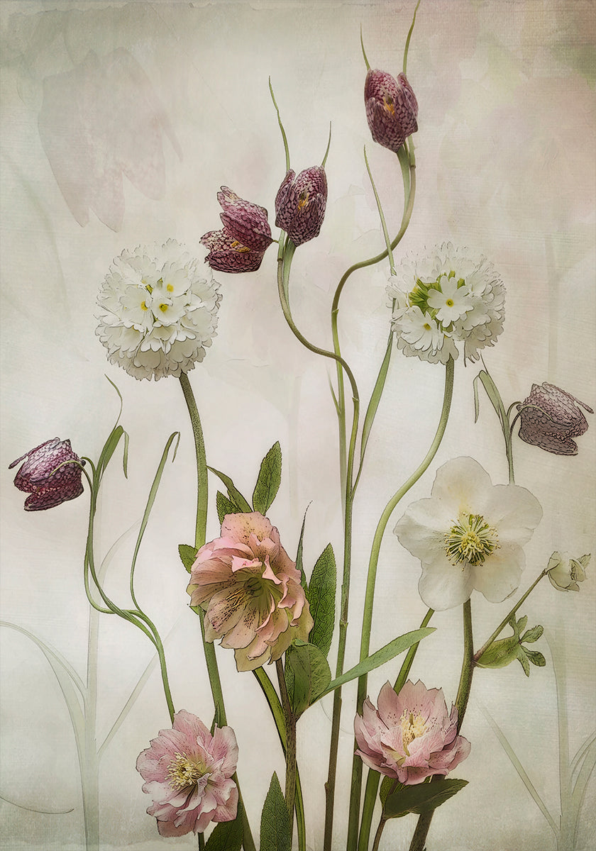 Jardim Primavera