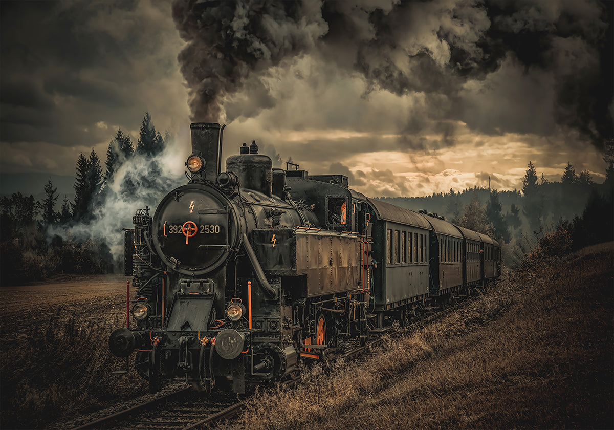Póster Gold digger train