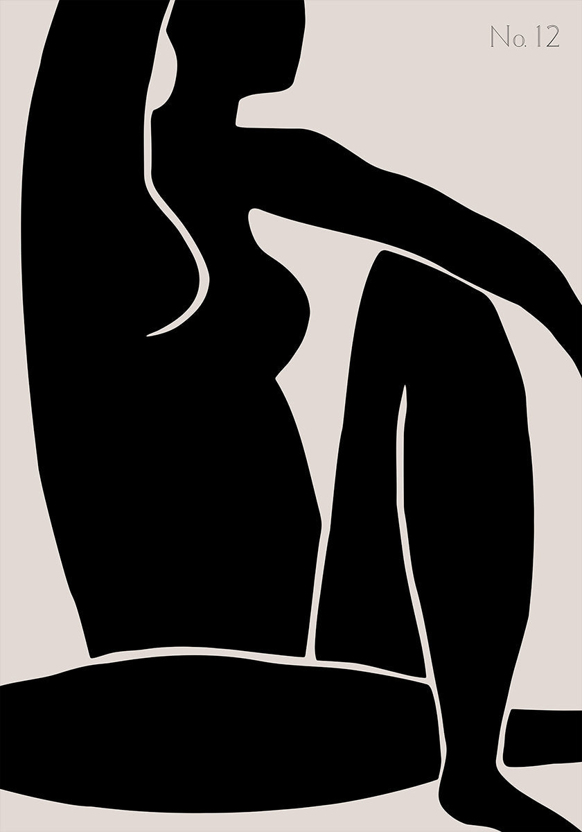 Figura nº 12
