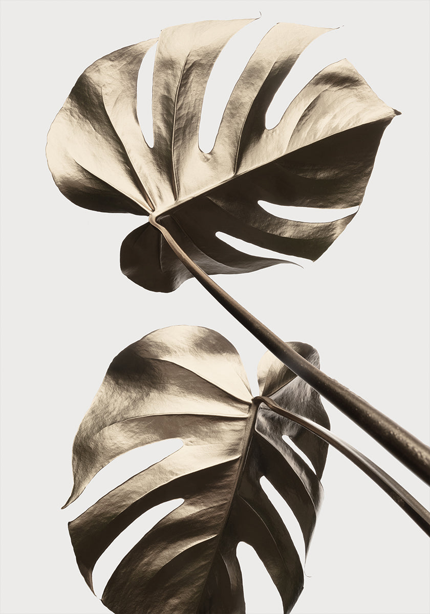 Pôster Monstera Ouro 08