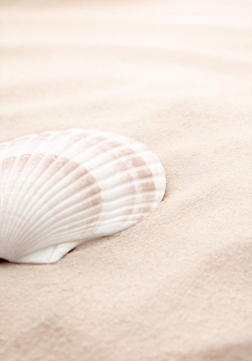 Pôster Shell_3