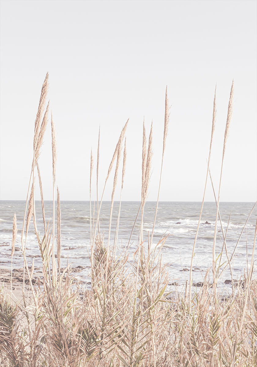 Pôster Beach_Vass_001