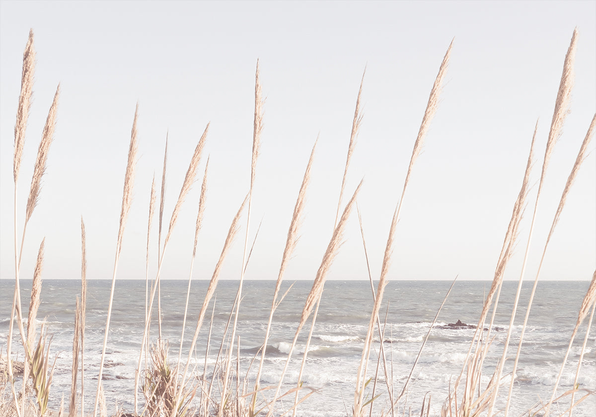 Pôster Beach_Vass_002