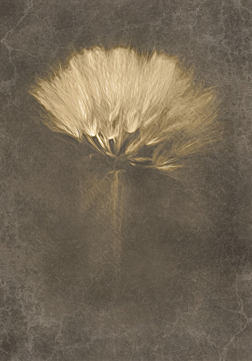 Pôster dos Dias Misteriosos