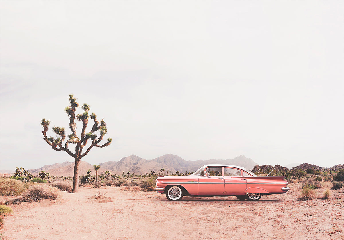Póster Desert