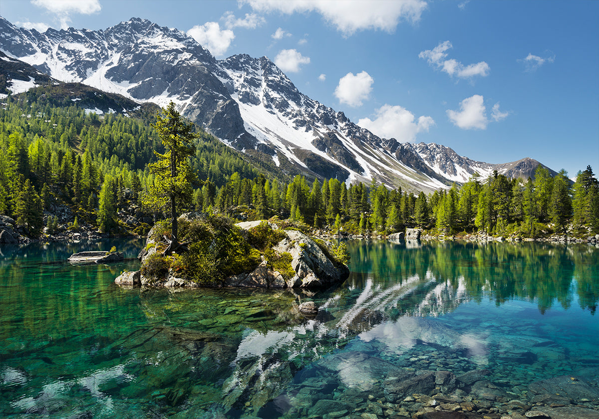 Póster Lago Verde da Montanha