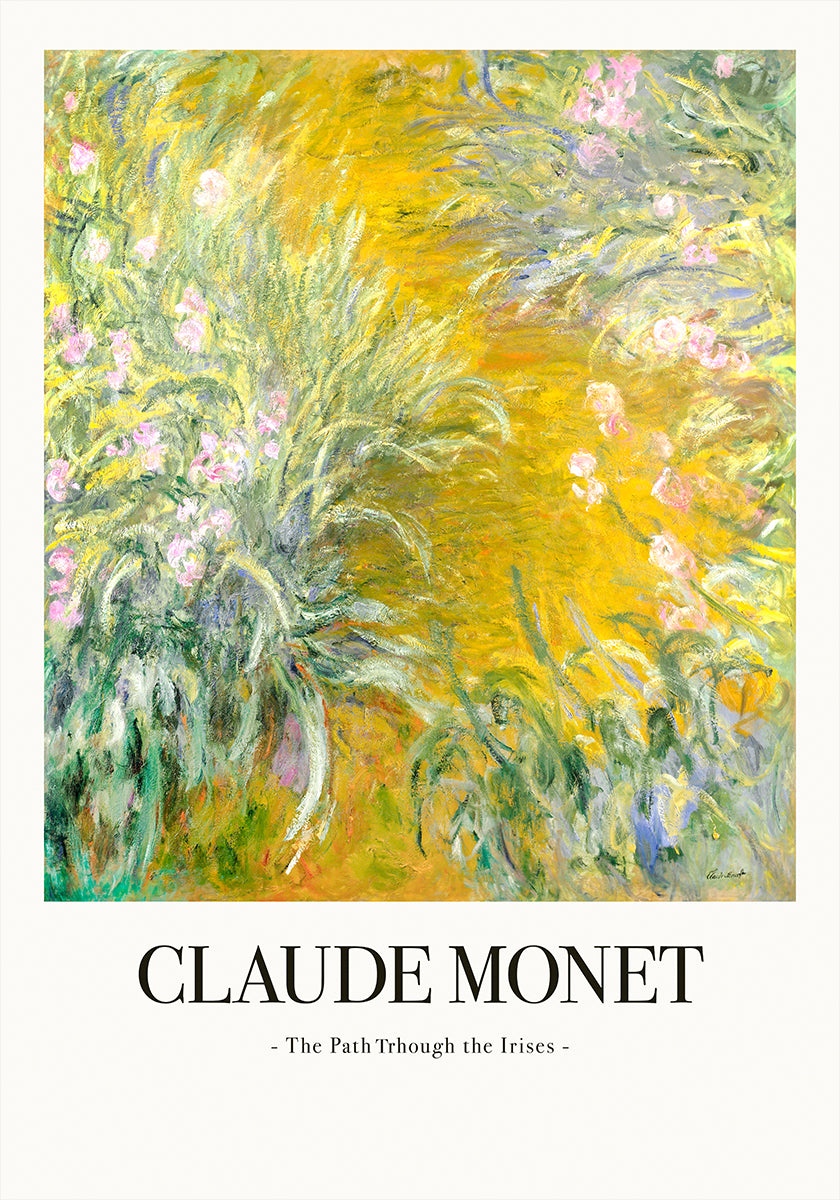 Pôster O caminho através das íris