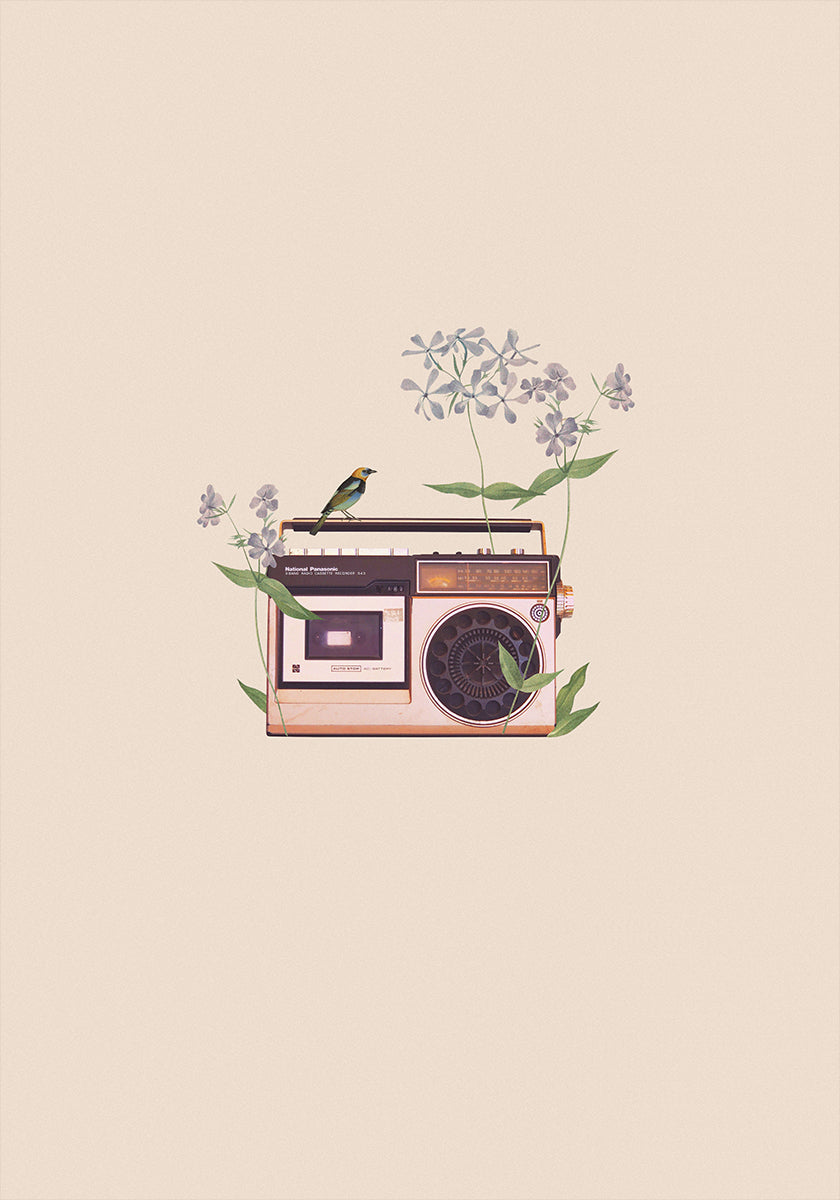 Póster Floral vintage radio