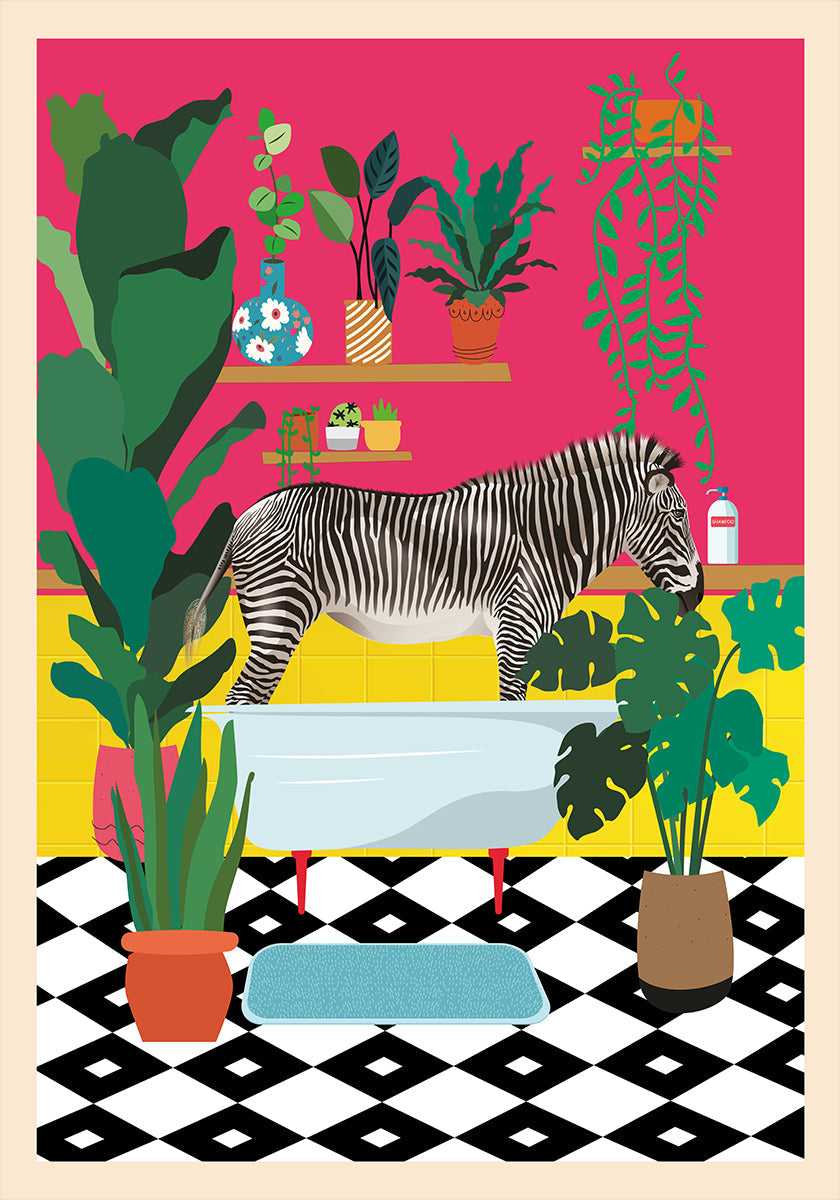 Hora do banho de zebra