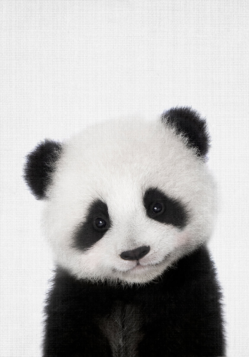 Bebê Panda Esconde-esconde