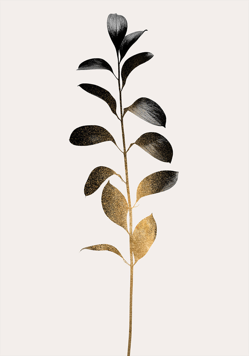 Monocromática No.9 Ouro Escuro