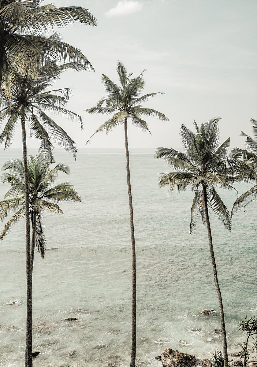 Pôster de sonhos tropicais