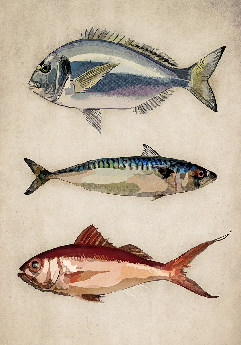 Trio da Vida Oceânica