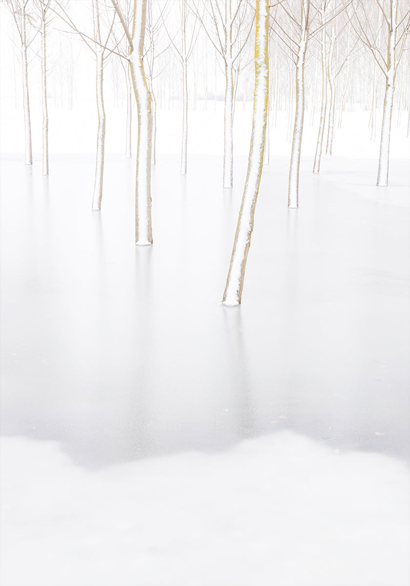 Pôster de reflexão de inverno
