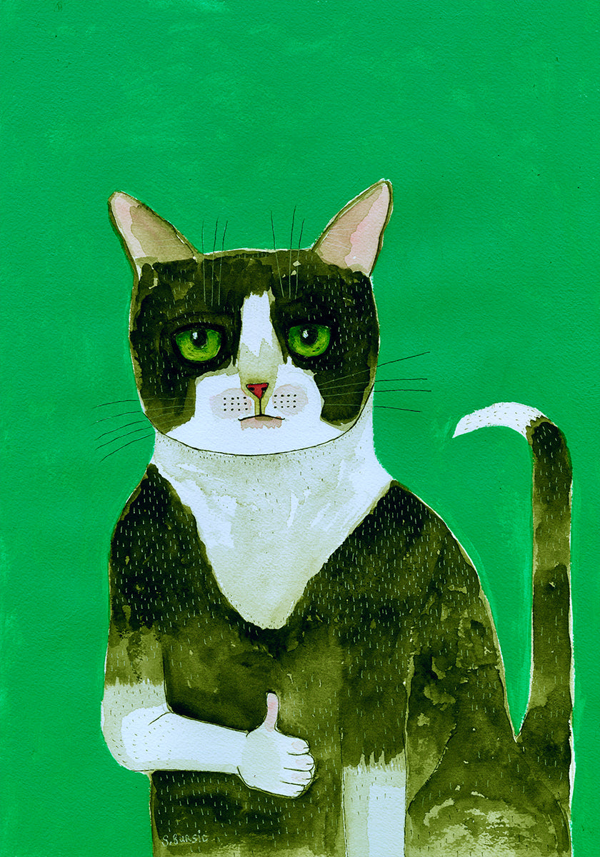 Gato de smoking polegar para cima