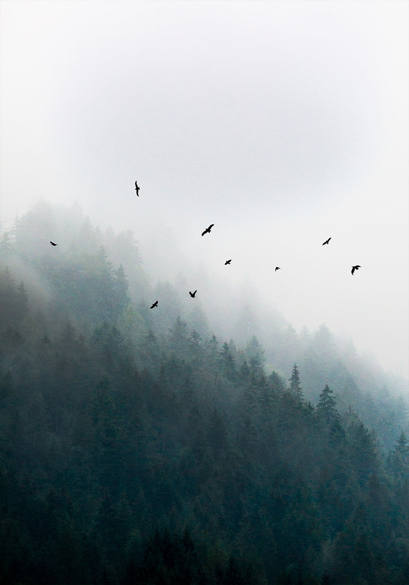 Foggy Morning 4 Plakat - Posterbox