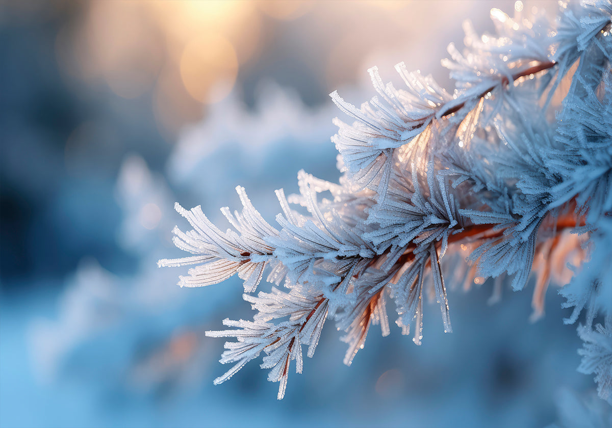 Póster Fosco Serenidade