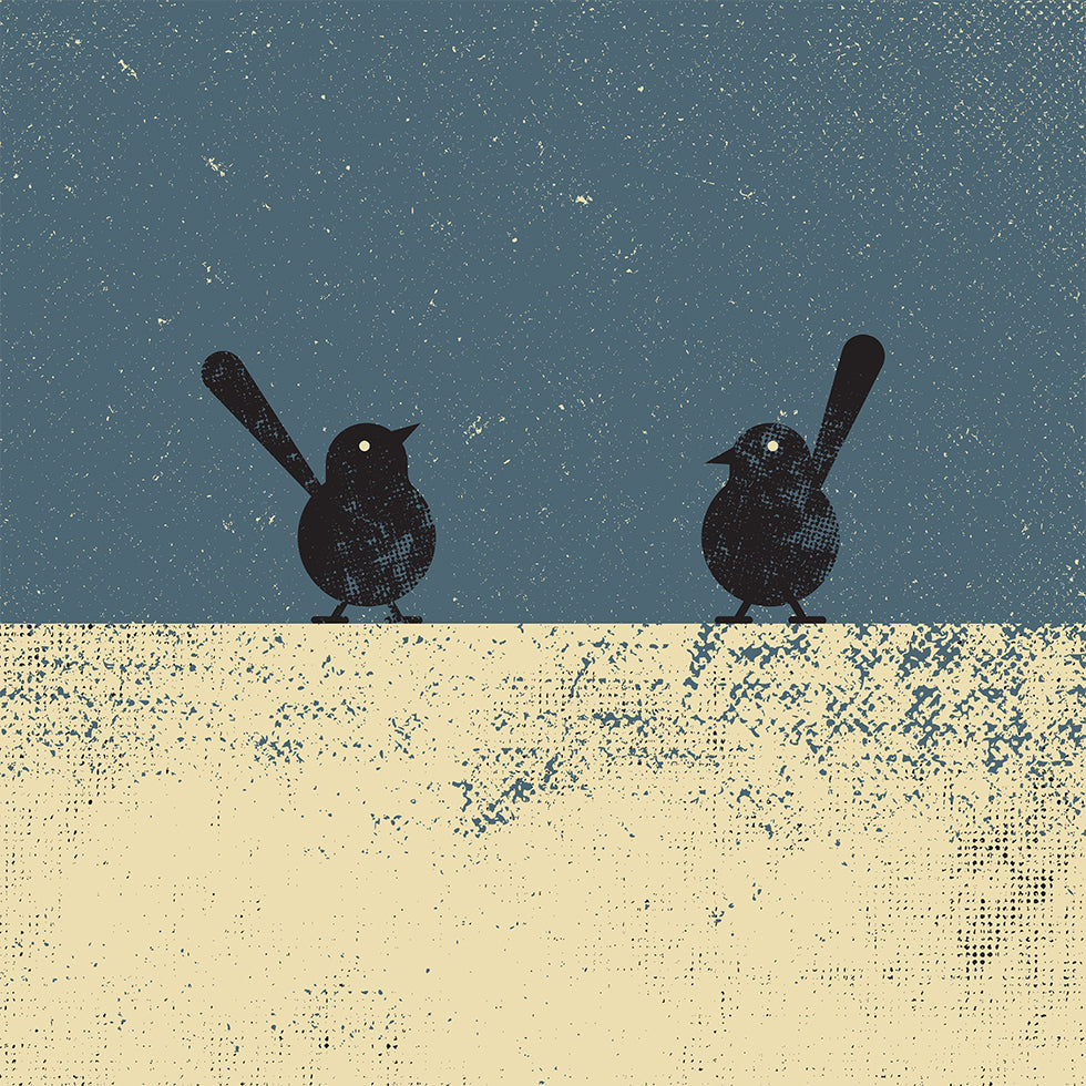 Pôsteres de pássaros