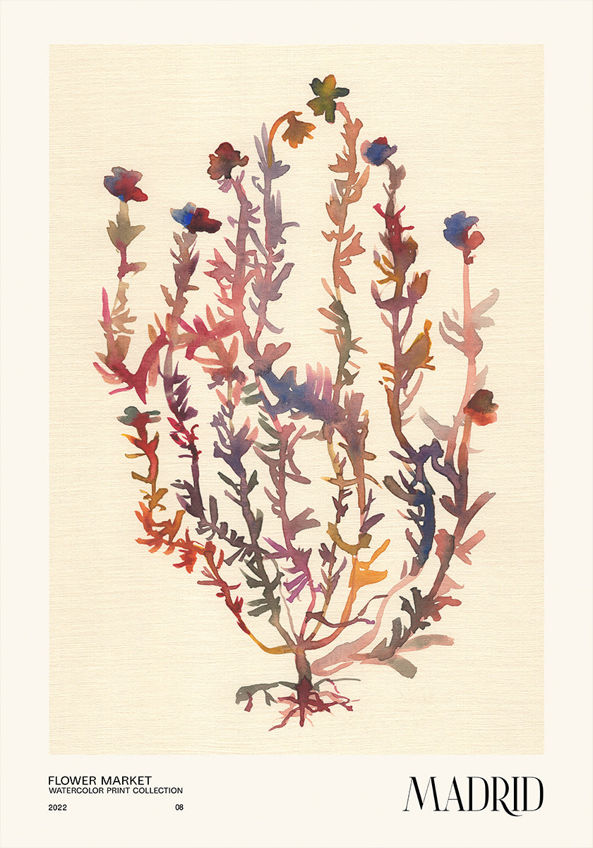 Coleção de estampas em aquarela. Mercado de flores - Madri