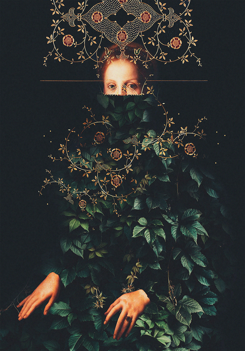 Paciência II de Frank Moth