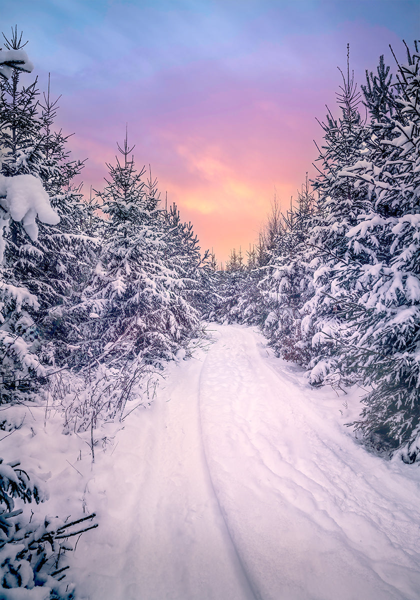 Póster Natal sentimento