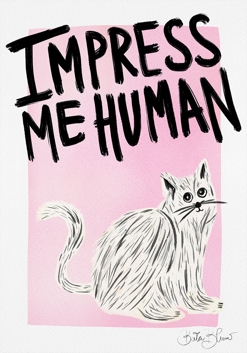Pôster Dono do Gato - Impressione-me Humano