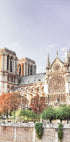 Notre Dame Side Plakat - Posterbox.no